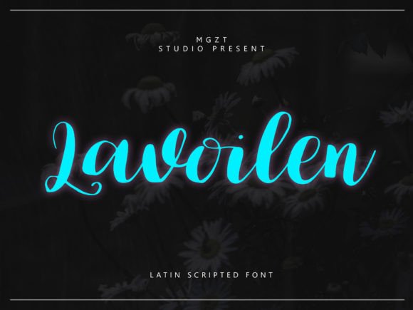 Lavoilen: Elevating Design Workflows with Approachable Elegance