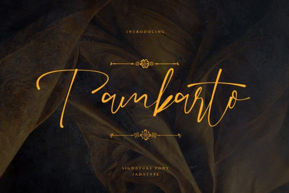 Tambarto: Where Classic Elegance Meets Modern Signature