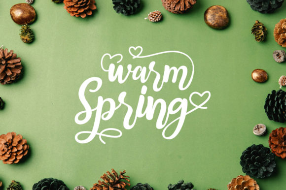 Warm Spring: The Script Font That Elevates Modern Branding and Design