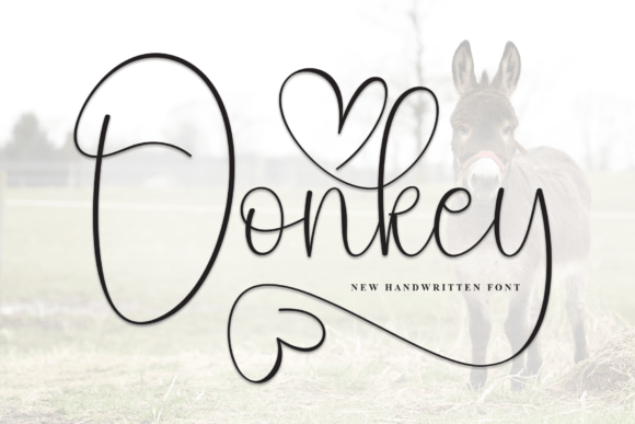Why Donkey is the Handwritten Font Redefining Personal Branding